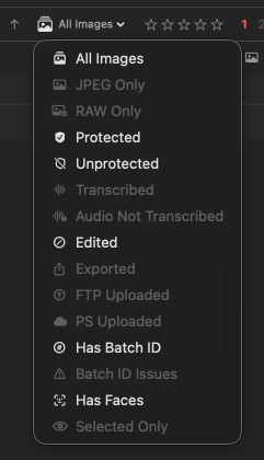 Gallery filter dropdown showing color code, rating, file type, batch ID, and other filter options.