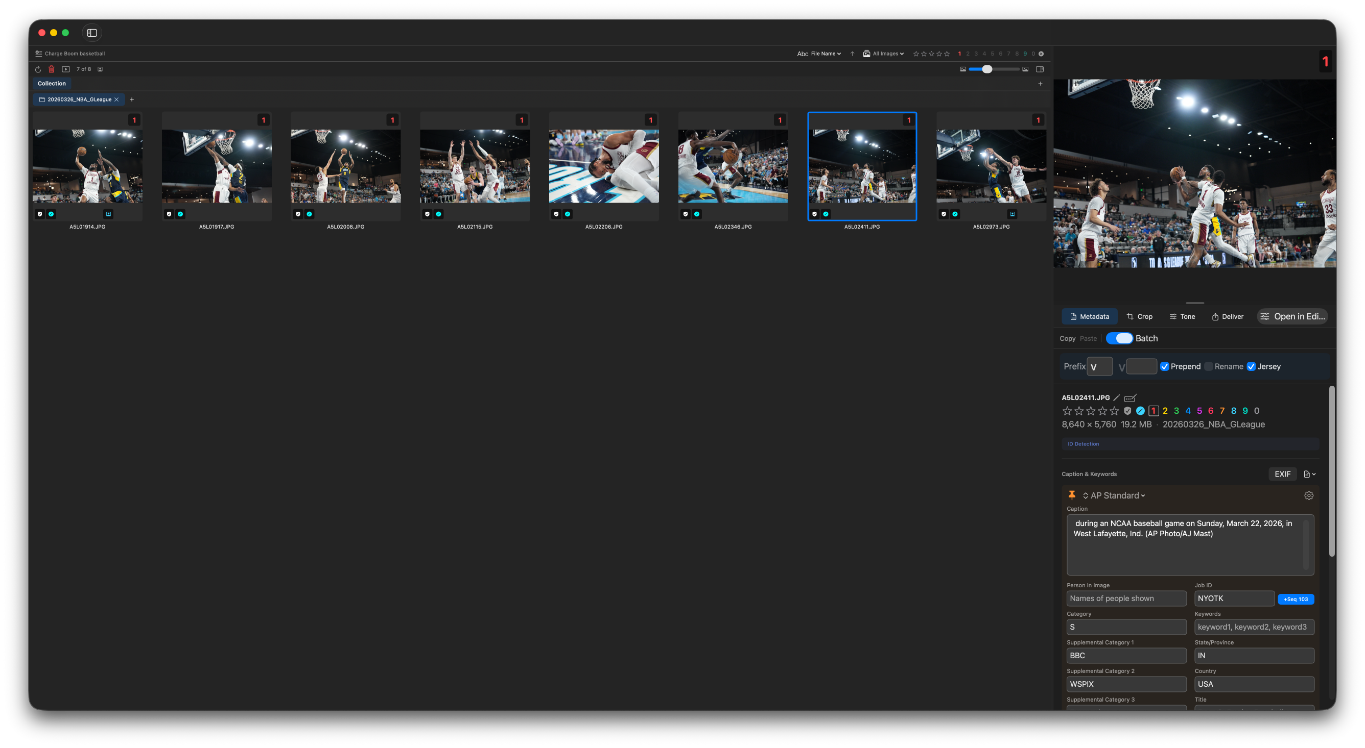 Filmstrip view of a tab's collection with one image selected and the inspector on the right.