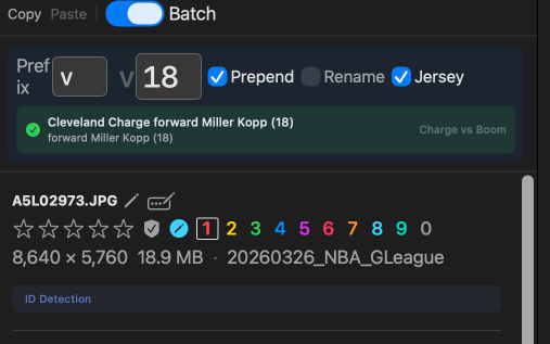 Batch ID overlay on the gallery with a code entered and the live Quick Text match visible.